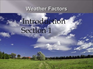 Introduction
Section 1
 