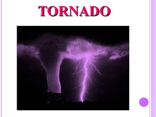 TORNADO 