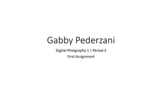 Gabby Pederzani
Digital Photgraphy 1 | Period 3
First Assignment
 