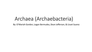 Archaea (Archaebacteria)
By: O’Mariah Gordon, Logan Bermudez, Dean Jefferson, & Lisset Suarez
 