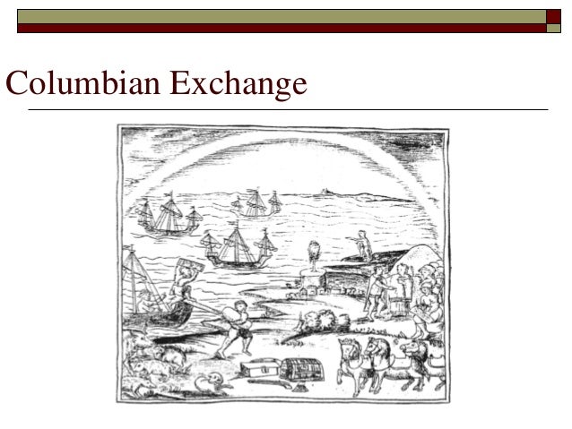 flora and fauna of the columbian exchange Flora and fauna of the columbian exchange 1307 words | 6 pages flora and fauna in the columbian exchange the voyage undertaken by christopher columbus to attempt to find a more direct route to india would fail in it 's goal. flora and fauna of the columbian exchange Flora and fauna of the columbian exchange 1307 words | 6 pages flora and fauna in the columbian exchange the voyage undertaken by christopher columbus to attempt to find a more direct route to india would fail in it 's goal.