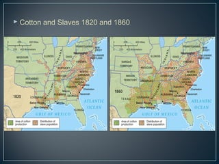  Cotton and Slaves 1820 and 1860 
 