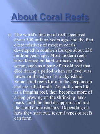 About Coral ReefsThe world's first coral reefs occurred about 500 million years ago, and the first close relatives of modern corals developed in southern Europe about 230 million years ago. Most modern reefs have formed on hard surfaces in the ocean, such as a base of an old reef that died during a period when sea level was lower, or the edge of a rocky island. Some coral reefs form in the deep ocean and are called atolls.An atoll starts life as a fringing reef, then becomes more of a ring growing on the shrinking land-mass, until the land disappears and just the coral circle remains. Depending on how they start out, several types of reefs can form.