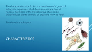 CHARACTERISTICS
The characteristics of a Protist is a membrane of a group of
eukaryotic organisms, which have a membrane bound
nucleus. Members of the Protists group share some
characteristics plants, animals, or organims know as fungi.
The domain is eukaryotic.
 