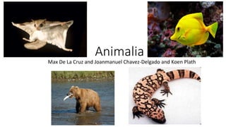 Animalia
Max De La Cruz and Joanmanuel Chavez-Delgado and Koen Plath
 