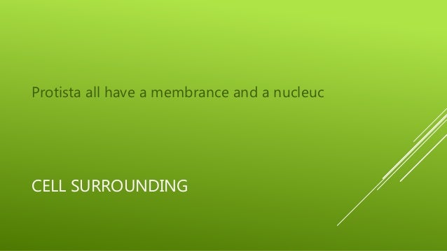 Period 7 2016 Period 7 2016