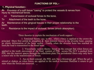   FUNCTIONS OF PDL:- 1.  Physical function:-        Provision of a soft tissue "casing" to protect the vessels & nerves from    injury by mechanical forces.          Transmission of occlusal forces to the bone.           Attachment of the teeth to the bone.        Maintenance of the gingival tissues in their proper relationship to the    teeth.           Resistance to the impact of occlusal. forces (shock absorption).  Three theories to explain the mechanism of tooth support – 1. Tensional theory- acc. to this , when a force is applied to the crown the principal  fibers first unfold & straighten &  then transmit forces to the alveolar bone ,causing an elastic deformation of the bony socket . Finally when the alveolar bone has reached its limit,the load is transmitted to the basal bone. 2. Viscoelastic system theory- based on the concept that when forces are applied to the tooth ,movement of the fluid  content of PDL  occurs.The ECF is pushed from PDL into the marrow spaces through the cribriform plate.The periodontal fibers may only have a minor role in the transmission of forces. 3.  Acc.to third concept ,the PDL acts like a thixotropic gel .When the gel is stirred or shaken ,as when forces are applied to the tooth,it becomes fluid,but it return to gel state when the forces are removed.  _  