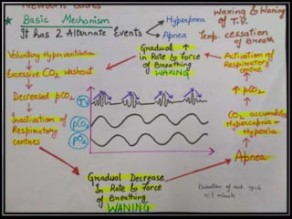 Periodic breathing ppt | PPTX