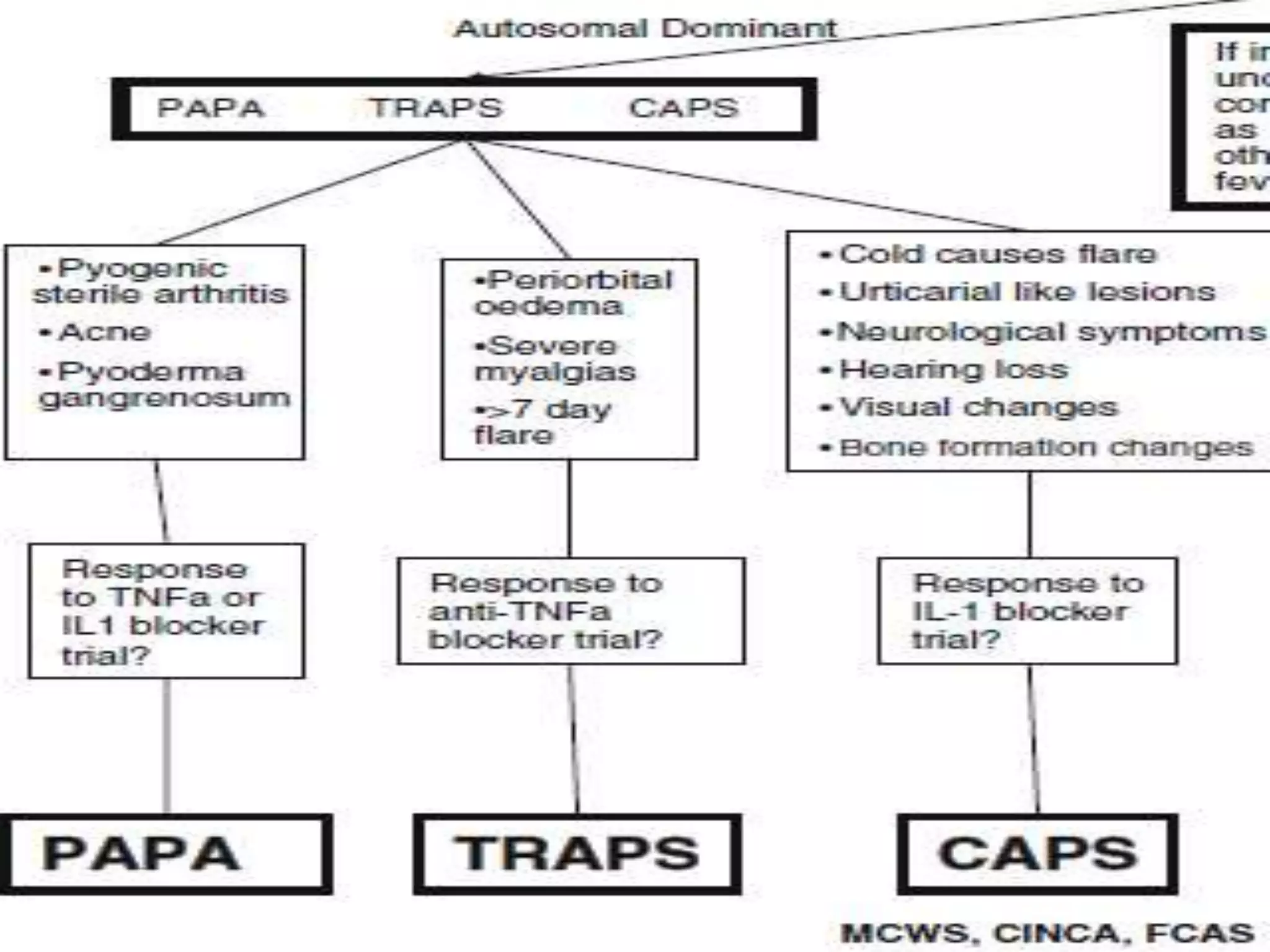 Periodic Fever Algorithm Periodic fever ppt | PPTX