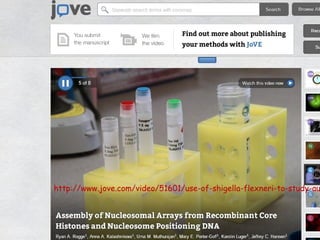 http://www.jove.com/video/51601/use-of-shigella-flexneri-to-study-au
 