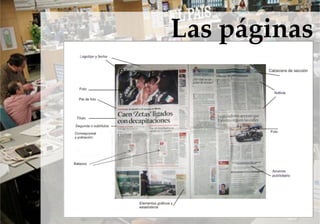 Las páginas
 