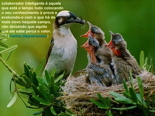 colaborador inteligente é aquele que está o tempo todo colocando o seu conhecimento à prova e evoluindo-o com o que há de mais novo naquele campo, não deixando que aquilo  que ele sabe perca o valor.   ( Carlos Nepomuceno ) 