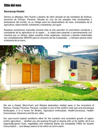 Sitio del mes
Soursoup Hostel
Somos un albergue, Mini Huerto y destino de retiro ubicado en las montañas de Sortova,
provincia de Chiriqui, Panamá. Situado en uno de los paisajes más exuberantes y
pintorescos del mundo, es un refugio para los observadores de aves, entusiastas de la
agricultura, salud mental, soñadores y hacedores, por igual.
Nuestras condiciones tropicales durante todo el año permiten el crecimiento constante y
consistente de la agricultura en la región ... si usted está pasando o permaneciendo con
nosotros por un tiempo, todas nuestras frutas orgánicas, verduras y plantas medicinales
son completamente GRATIS para el consumo de los huéspedes... y siempre parece estar
al alcance de la mano.
We are a Hostel, Micro-Farm and Retreat destination nestled away in the mountains of
Sortova, Chiriqui Province, Panama. Located in one of the world's most lush and picturesque
landscapes, it is a haven for Birders, Agriculture enthusiasts, Health-Conscious, Health-
Unconscious, Dreamers and Do-ers, alike.
Our year-round tropical conditions allow for the constant and consistent growth of region-
centric agriculture ... whether you are passing through or staying with us for awhile, all of our
organically-grown fruits, vegetables and medicinal plants are completely FREE for Guests'
Consumption ... and always seems to be within an arm's reach.
 
