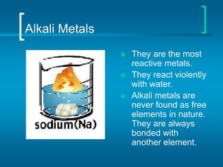 Alkali Metals
 They are the most
reactive metals.
 They react violently
with water.
 Alkali metals are
never found as free
elements in nature.
They are always
bonded with
another element.
 