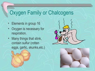 Oxygen Family or Chalcogens
• Elements in group 16
• Oxygen is necessary for
  respiration.
• Many things that stink,
  contain sulfur (rotten
  eggs, garlic, skunks,etc.)
 