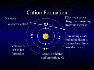 Cation Formation
11p+
Na atom
1 valence electron
Valence e-
lost in ion
formation
Effective nuclear
charge on remaining
electrons increases.
Remaining e- are
pulled in closer to
the nucleus. Ionic
size decreases.
Result: a smaller
sodium cation, Na+
 