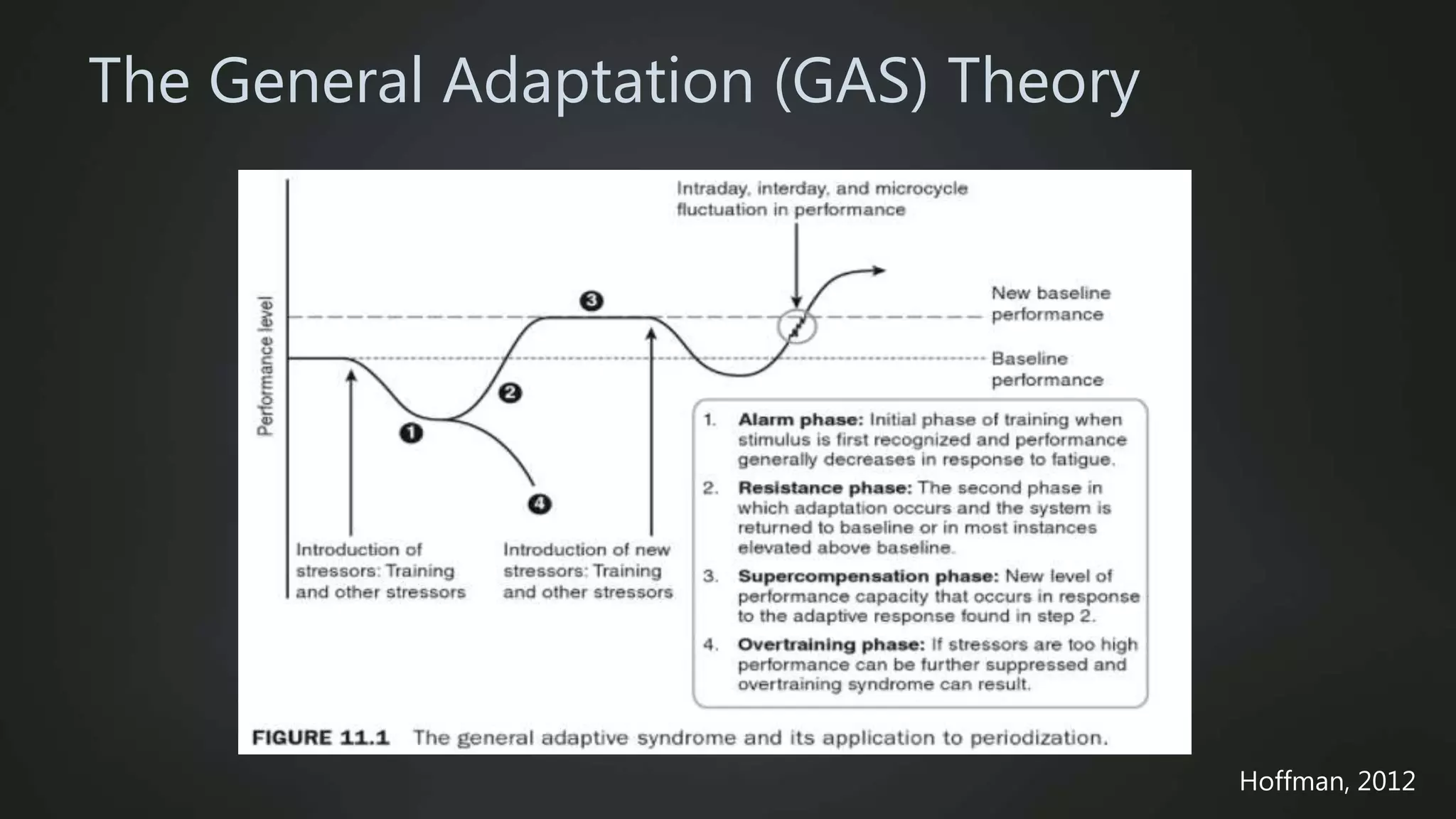 The General Adaptation (GAS) Theory
Hoffman, 2012
 