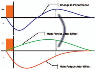 Fitness-Fatigue model Of Two factor model 