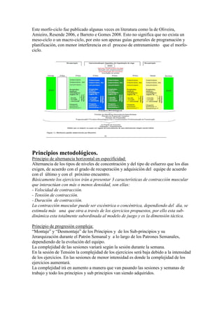 Este morfo-ciclo fue publicado algunas veces en literatura como la de Oliveira,
Amieiro, Resende 2006, e Barreto e Gomes 2008. Esto no significa que no exista un
meso-ciclo o un macro-ciclo, por esto son apenas guías generales de programación y
planificación, con menor interferencia en el proceso de entrenamiento que el morfociclo.

Principios metodológicos.
Principio de alternancia horizontal en especificidad:
Alternancia de los tipos de niveles de concentración y del tipo de esfuerzo que los días
exigen, de acuerdo con el grado de recuperación y adquisición del equipe de acuerdo
con el último y con el próximo encuentro.
Básicamente los ejercicios irán a presentar 3 características de contracción muscular
que interactúan con más o menos densidad, son ellas:
- Velocidad de contracción.
- Tensión de contracción.
- Duración de contracción.
La contracción muscular puede ser excéntrica o concéntrica, dependiendo del día, se
estimula más una que otra a través de los ejercicios propuestos, por ello esta subdinámica esta totalmente subordinada al modelo de juego y es la dimensión táctica.
Principio de progresión compleja:
“Montaje” y “Desmontaje” de los Principios y de los Sub-principios y su
Jerarquización durante el Patrón Semanal y a lo largo de los Patrones Semanales,
dependiendo de la evolución del equipo.
La complejidad de las sesiones variará según la sesión durante la semana.
En la sesión de Tensión la complejidad de los ejercicios será baja debido a la intensidad
de los ejercicios. En las sesiones de menor intensidad es donde la complejidad de los
ejercicios aumentará.
La complejidad irá en aumento a manera que van pasando las sesiones y semanas de
trabajo y todo los principios y sub principios van siendo adquiridos.

 