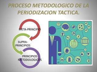 PROCESO METODOLOGICO DE LA
PERIODIZACION TACTICA.
META-PRINCIPIO
SUPRA-
PRINCIPIOS
PRINCIPIOS
METODOLOGICOS
 