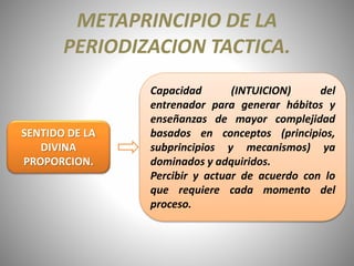 METAPRINCIPIO DE LA
PERIODIZACION TACTICA.
SENTIDO DE LA
DIVINA
PROPORCION.
Capacidad (INTUICION) del
entrenador para generar hábitos y
enseñanzas de mayor complejidad
basados en conceptos (principios,
subprincipios y mecanismos) ya
dominados y adquiridos.
Percibir y actuar de acuerdo con lo
que requiere cada momento del
proceso.
 