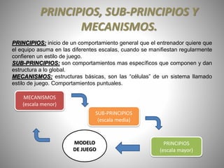PRINCIPIOS, SUB-PRINCIPIOS Y
MECANISMOS.
PRINCIPIOS: inicio de un comportamiento general que el entrenador quiere que
el equipo asuma en las diferentes escalas, cuando se manifiestan regularmente
confieren un estilo de juego.
SUB-PRINCIPIOS: son comportamientos mas específicos que componen y dan
estructura a lo global.
MECANISMOS: estructuras básicas, son las “células” de un sistema llamado
estilo de juego. Comportamientos puntuales.
MECANISMOS
(escala menor)
SUB-PRINCIPIOS
(escala media)
PRINCIPIOS
(escala mayor)
MODELO
DE JUEGO
 