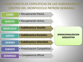 CARACTERISTICAS ESPECIFICAS DE LAS SUBDINAMICAS
DENTRO DEL MORFOCICLO PATRON SEMANAL.
• Recuperación Pasiva.LUNES
• Recuperación Activa.MARTES
• Subdinamica Tensión.MIERCOLES
• Subdinamica Duración.JUEVES
• Subdinamica Velocidad.VIERNES
• Preactivacion Competitiva.SABADO
• Competencia Oficial.DOMINGO
OPERACIONALIZACION
ADQUISITIVA
 