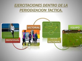 EJERCITACIONES DENTRO DE LA
PERIODIZACION TACTICA.
INDIVIDUAL
SECTORIAL
INTER-
SECTORIAL
EQUIPO
 