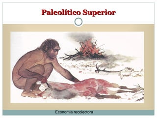 Paleolítico Superior Economia recolectora 