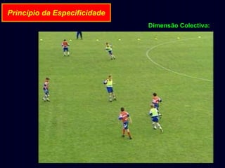 Princípio da Especificidade
Dimensão Colectiva:

 