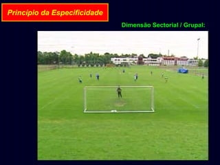 Princípio da Especificidade
Dimensão Sectorial / Grupal:

 