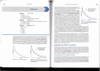Reclutamiento de las unidades motoras
El reclutamiento de las unidades motoras se refiere al mirnero de estas que participan en la
accion (39, 86). Cuantas mas unidades motoras se activen, mayor sera la fuerza generada por
el rmisculo (69). Porlo general,su reclutamiento seproduce siguiendo un esquema ordenado,
de las unidades motoras mas pequefias a las mas grandes (86). Henneman y colaboradores
(86), en su influyente trabajo, establecieron lo que denominaron el prindpio del tamaiio
de Henneman,que afirma que el volumen de la unidad motora dicta su activacion. Este
La fuerza puede definirse como la capacidad del sistema neuromuscular para producir
tension contra una resistencia externa (180). La fuerza maxima que un deportista puede
mostrar depende de siete conceptos clave: (1) el mimero de unidades motoras implicadas
(reclutamiento ), (2) el porcentaje de disparo de la unidad motora (porcentaje de codifi-
cacion), (3) la cantidad de sincronlzaclen de las unidades motoras, (4) la utilizacion del
ciclo estiramiento-acortamiento, (5) el grado de inhibici6n neuromuscular, (6) el tipo de
fibra musculary (7) el grado de hipertrofia muscular (174, 180).
Factores que afectan a la fuerza
la curva fuerza-velocidad
por el entrenamiento
defuerzaexplosiva.
Fuerza (N)
de fuerza explosiva
• • • • • • • • Despues del entrenamiento
de fuerza explosiva
- Antes del entrenamiento
pane de tension elevada de la curva fuerza-veloddad (figura 10.5),
mientras que la inclusion de ejerciciosde fuerza explosivamodificara
la parte de alta velocidad de la curva (figura 10.6) (110).
El efecto del entrenamiento explosivo de la fuerza sobre la parte
de alta velocidad de la curva fuerza-velocidad,se basa en evidendas <il
~-
que sugieren que este tipo de trabajo tiene el potencial de modificar _
la fuerza explosiva del deportista o el porcentajedel desarrollode
la fuerza (RFD) (2, 66, 75, 76, 94). El RFD indica la rapidez con
que se desarrolla la fuerza y se calcula dividiendo el cambio en la
fuerzaporelcambio en el tiempo (193) (ver ecuadon2). Pareceque
la capacidad para generar RFD elevada es muy importante para las
actividades deportivas que implican movimientos explosivos (por
ejemplo, esprintar, saltar, lanzar), y requiere que la fuerza se genere
durante una franja de tiempo limitada (rv 70 a 200 ms). En general,
estetiempo essustancialmente menor que el necesario para alcanzar FIGURA 10.6 Modificacioneste6ricas de
la fuerza maxima (>250 ms) (9, 67, 159). Sin embargo, la fuerza
maxima y el RFDestan interrelacionados (9, 133) y ambos se aso-
cian con el rendimiento deportivo, y tambien con la habilidad para
generar acelerad6n, la cual afecta a la velocidad del movimiento (180).
Tanto la fuerza como la velocidad son importantes en el movimiento humano, dado que
la potencia es el producto de estas dos variables (110,180) (verecuacion 3 de la pagina 252).
La capacidad de generar fuerza maxima parece serun efector principal para generar potencia
(157, 159). Schmidtbleicher (157, 159) sugiere que cuando la carga (que el deportista tiene
que superar) disminuye,tarnbien lo hace el efecto que la fuerzamaxima tiene para generar
potencia. Esteautor sugiere que cuando esto ocurre, el RFDadquiere mas importancia ( 157,
159, 180).
Se ha especulado con que la capaddadpara generar potencia, o la velocidad para realizar
trabajo, es la caracterfstica mas importante del deporte (69, 110, 127, 157, 180). De hecho,
la capacidad de diversos deportistas para producir potencia parece diferenciar sus niveles
de rendimiento deportivo (14, 55). Dos tipos de producd6n de potencia son relevantes en
la prestacion deportiva: la produccion de potencia maxima y el porcentaje de produccion
de potencia. La producci6n de potencia maxima se relaciona mas con los rendimientos
maximos de corta duracion, como saltar, esprintar, levantar peso, cambiar de direccion y
golpear (11, 12, 69, 110, 127, 180, 188). Al contrario, elporcentaje de produccion depotencia
se relaciona con el rendimiento de tareas repetitivas, como las carreras de fondo (136), el
ciclismo (183) y el esquf n6rdico (139).
253
Desarrollode la fuerza y la potencia
FIGURA 10.4 Relacion fuerza-velocidad.
Fuerza (N)
FIGURA 10.5 Modificacioneste6ricasdela curva
fuerza-velocidad
por el entrenamientode fuerza
con cargaselevadas.
Fuerza (N)
.....
·•····............
······ ...,.
con cargas elevadas
• • • • • • • • Despues del entrenamiento
con cargas elevadas
- Antes del entrenamiento
...
Un examen mas detenido de la interacdon entre la fuerza y la velocidad sugiere que -
existeuna relacion inversa, por la que, a medida que se incrementa la resistencia externa, la
velocidad del movimiento disminuye (figura 10.4) (110,208). La aplicacion del programa de
periodizacion del entrenamiento de fuerza puede modificar la curva fuerza­velocidad(43,
104, 109, 110, 128, 135). La literatura sugiere que el entrenamiento con cargas muy elevadas
induce adaptaciones que son diferentes a las que seven en el entrenamiento de fuerza explo-
siva (74, 75, 110, 202). Por ejemplo, la implementacion de un programa de entrenamiento
de fuerza centrado en el empleo de cargas pesadas tiene mayor potencial para modificar la
RFD = Rate of Force Development = Porcentajedel desarrollode la fuerza
dF = Cambiaen la fuerza
dT = Cambiaen el tiempo
Ecuacion 3 Potencia = F x D/T
Potencia= W/T
Potencia= F x V
F = Fuerza
W = Trabajo
T = Tiempo
V = Velocidad
RFD= aF I aT
Ecuacion 2
F = Fuerza
M = Masade un objeto
A = Aceleraci6nde un objeto
P = Peso o masa atribuibleal efecto de la gravedad
F=MXA+P
Ecuacion 1
Ecuaciones
Periodizaci6n
252
 