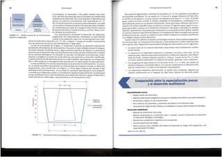 Basadoen Harre, 1982 (46).
Especializacion precoz
• Rapida mejora del rendimiento .
• Mejores rendimientos conseguidos a los quince o dleciseis afios debido a una rapida adaptaci6n .
• Rendimiento irregular en las competiciones .
• Alta incidencia de «quernados- y abandonos del deporte a los dieciocho afios.
• lncremento del riesgo de lesion debido a una adaptaci6n forzada y falta de desarrollo fisiologico .
Desarrollo
multilateral
• Mejoras del rendimiento mas lentas .
• Mejores rendimientos a los dieciocho afios o mayores, cuando el deportista ha alcanzado
la maduraci6n fisiol6gica y pslcologlca .
• Rendimiento consistente y progresivo en la competici6n.
• Carreras deportivas mas largas.
• Menos lesiones como resultado del empleo de esquemas de cargas mas progresivas Y del
desarrollo global fisiol6gico.
Comparaclonentre la especiallzacion precoz
y el desarrollo multilateral
Tresestudios longitudinales, realizados en tres pafses (18, 22, 46), respaldan los beneficios
del desarrollo multilateral. En un estudio de 14 afios de la antigua Alemania del Este (46),
se dividi6 en dos grupos a un gran mimero de muchachos de entre 9 a 12 afios. El primer
grupo entren6 de forma similar al enfoque e_mpleadoen Norte~merica: ~entran~os~ ~n la
especializaci6n precoz en un deporte determmado. Estos deportistas utilizaron ejercicios Y
metodos de trabajo espedficos para un deporte concreto. El segundo grupo sigui6 un pro-
grama generalista centrado en el desarrollo multilateral. Estegrupo participaba en diversos
deportes, aprendiendo varias destrezas y realizando un entrenamiento ffsicoglobal, ademas
de entrenar destrezas espedficas del deporte. Losresultados de estas investigaciones apoyan
la afirmaci6n de que cuando se establecen bases s6lidas mediante un enfoque multilateral,
se consiguen mayores exitos deportivos.
Fuentes rusas (22) refieren un estudio con hallazgos similares. Estosestudios longitudina-
les concluyen que, en la mayoria de los deportes, la especializaci6n no debe comenzar antes
de los quince afios.Algunos de los principales hallazgos de estos estudios son los siguientes:
• La mayor parte de los mejores deportistas rusos tienen unos fundamentos multila-
terales fuertes.
• La mayoria de los deportistas empezaron a entrenar a los siete u ocho afios. En los
primeros afios,todos los deportistas participaron en diferentes deportes, como futbol.
esquf de fondo, carreras, patinaje, nataci6n y ciclismo. A partir de los 10 a 13 afios,
los nifios tambien participaron en deportes de equipo, gimnasia, remo y atletismo.
• Los programas de especializaci6n los iniciaron de los 15 a 17 afios, sin olvidar los
primeros deportes y actividades ffsicas.Losmejores rendimientos se obtuvieron des-
pues de entrenar de 5 a 8 afios en los deportes especializados.
• Los deportistas altamente especializados en edades muy tempranas, lograron sus
mejores rendimientos en la categoria de edad junior (menos de dieciocho afios).
43
Principios del entrenamiento
FIGURA 2.2 Comparaci6n entre la especializaci6n precozy el desarrollo multilateral.
~ , .......•.. ,
..
....
..
.. ..
......
..........
Entrenamiento
especializado
... ..
.. ...
... Desarrollo
multilateral
....
....
...
..:
....
..
...
......
24
22
20
U)
,g 18
.s
""(J
ctl 16
""(J
UJ
14
12
10
1---ao-------·1
FIGURA 2.1 Modelo secuencial de entrenamiento
deportivo a largo plazo.
..Q
e Maduraci6n Elevado
<ii
U) rendimiento
(])
""(J
<ii
Deportista junior
Entrenamiento
""(J
especlalizado
U)
(])
U)
ctl Desarrollo
u.. lnfancia
multilateral
el preparador, el entrenador o los padres resistan esta tenta-
ci6n; esta bien documentado que es necesaria una amplia base
multilateral de desarrollo ffsicopara preparar al deportista para
asumir un posterior entrenamiento mas especializado (9, 25,
83). Si el entrenamiento sesecuencia adecuadamente, y seinicia
con un primer fundamento fuerte de entrenamiento multilate-
ral, el deportista sera capaz de conseguir niveles mucho mayores
de preparaci6n ffsicay maestria tecnica y, al final, obtener nive-
les elevados de rendimiento.
Una aproximaci6n secuencial al desarrollo del deportista,
progresando del entrenamiento multilateral al especializado
cuando ya ha madurado, parece ser un prerrequisito para maxi-
mizar el rendimiento deportivo (25, 79, 84). La figura 2.1 ilustra un modelo conceptual de
una aproximaci6n secuencial del entrenamiento a largo plaza.
La base de la piramide de la figura 2.1 representa el perfodo de desarrollo multilateral,
fundamento del programa de entrenamiento. Estaparte incluye multiples facetas del desarro-
llo motor, destrezas multideportivas y alguna destreza especifica del deporte. La variedad de
ejerciciosque el deportista debe practicar durante estetiempo permite el desarrollo completo
de sus sistemas fisiol6gicos. Por ejemplo, en esta fase, los sistemas neuromuscular, cardio-
vascular y energetico se activan de modo diferente para permitir un desarrollo equilibrado.
Cuando el desarrollo del deportista alcanzaun nivelaceptable, especialmente en su desarrollo
ffsico, debe progresar a una segunda fase marcada por un mayor grado de especializaci6n.
La fase multilateral no excluyeespecificidad en los procesos de entrenamiento. Al contra-
rio, el trabajo especifico esta presente en todas las fases del programa aunque en diferentes
proporciones, como puede verse en la figura 2.2. Dicha figura muestra que durante la fase
multilateral del entrenamiento, el porcentaje de actividad especializada es muy pequefio.
Amedida que el deportista madura, se incrementa el grado de especializaci6n. Se piensa que
la base multilateral sirve como fundamento para desarrollos futuros y ayuda al deportista a
evitar lesiones por sobrecarga y estancamientos en el entrenamiento (83).
Periodizaci6n
42
 