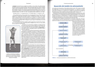 FIGURA 2.3 Secuencia del desarrollo de un modelo de entrenamiento.
Monitorizaci6n del
modelo de entrenamiento
No hay mala adaptacion 1
Modelo de test en
las competiciones
i
Utilizaci6n de los datos del
deportista para validar el modelo
Reevaluaci6n del modelo
de entrenamiento
Malaadaptaci6n
Modificaci6n del modelo
de entrenamiento
t
lmplementaci6n del modelo
de entrenamiento
Desarrollo del modelo
de entrenamiento
lnterpretaci6n de los datos
del entrenamiento y de los test
i
Evaluaci6n del deportista
i
Formulaci6n de la bateria de
test y plan de observaci6n
i
Observaci6n y anausls
de la literatura cientffica
Losmodelos de entrenamiento se han utilizado desde los afios 1960, aunque no siempre
bien organizados y con frecuencia aplicados aleatoriamente (11). A pesar de que muchos
especialistas deportivos de la Europa del Este adquirieron conocimientos y experien-
cias usando los modelos de entrenamiento, la tendencia general hacia la utilizaci6n de
estas herramientas a nivel mundial nose produjo hasta los afios 1970 (10, 16).
Estabien documentada la intima relaci6n entre entrenamiento y rendimiento, pero a nivel
muy individual (5, 49). El desarrollo de un modelo de entrenamiento se centra en la noci6n
de la especializaci6n y la individualizaci6n de los programas de trabajo (11,49, 79, 90). Los
modelos que permiten la implementaci6n, el analisis, la evaluaci6n y la modificaci6n de
los planes de entrenamiento, y que se basan en parametros fisiol6gicos y de rendimiento,
son utilizados particularmente en el desarrollo de los deportistas (90).
El desarrollo de un modelo de entrenamiento es un proceso a largo plazo, permanen-
temente cambiante, que ha de evolucionar junto con el desarrollo del deportista. Laelabo-
raci6n de un modelo es un proceso de labor intensa, basado en los modelos previos, en las
evaluaciones actualesdel deportista
y en s6lidos fundamentos cientffi-
cos.Aunque este proceso consume
tiempo, esun tiempo bien gastado:
cuanto mejor sea el modelo, mas
probable sera que el deportista
consiga mayores rendimientos. El
modelo debe evaluarse continua-
mente y modificarse en respuesta
a nuevos conocimientos cientificos,
al desarrollo del nivel del deportista
y a la evaluaci6n de sus progresos.
Un metodo te6rico para desarrollar
un modelo de entrenamiento se
presenta en la figura 2.3.
Desarrollo del modelo de entrenamiento
Otro ejemplo de este concepto puede verse en la preparaci6n de los ciclistas. Fuera de
temporada, el ciclista sigue normalmente varias modalidades de trabajo, como el esquf
n6rdico, para mantener la forma ffsica aer6bica y, a continuaci6n, continua con trabajo
sobre la bicicleta durante la fase preparatoria del programa. La estructura introduc-
ci6n-reintroducci6n (89) se basa en que el retomo rapido al entrenamiento con bicicleta
incrementara su habilidad sobre la maquina ya que, cuando se reintroducen, las tareas
son semi-novedosas.
Lavariaci6n del entrenamientotambien puedeincorporarse en el microciclo. Por ejem-
plo, en unos dias del ciclo el deportista entrena multiples veces al dia y en otros realiza
solo una sesi6n de entrenamiento.
Las sesiones de entrenamiento multiple en el mismo dia han
demostradoque provocan mayores adaptacionesfisiol6gicas que
con solo una sesi6n diaria (41). Sin embargo, reducir la frecuen-
cia de trabajo durante un dia puede facilitar la recuperaclon, la
cual puede permitir al deportista entrenar mas duro los dfas o
microciclos siguientes.
Otro modo de variar el plan de entrenamiento es altemar siste-
maticamentesu intensidad. Al hacerlo, a lo largo del microciclo
se estableceran perfodos de estimulaci6ny de recuperaci6n, los
cuales, al parecer, inducen mayores adaptaciones fisiol6gicas
(89). Curiosamente, altemar sesiones de entrenamiento duras y
ligeras dentro del microciclo se ha usado para preparar tanto a
deportistas de fondo (69) como a deportistas de fuerza y potencia
(89). Otra estrategia de variaci6n es altemar tanto la intensidad
como la frecuencia de entrenamiento. Por ejemplo, para mani-
pular la intensidad el mismo dia de entrenamiento individual,
se puede programar una sesi6n matinal con una intensidad de
trabajo elevada y otra por la tarde de una intensidad mas baja. Al
siguiente dfa, puede disminuirseel numero de sesiones para faci-
litar la recuperaci6n, o aumentarse, para incrementarel estfrnulo
del entrenamiento.
Las variaciones de entrenamiento solo estan limitadas por la
habilidaddel entrenadorpara aplicar los principioscientificos de
modo creativo. Laimplementaci6nde las variaciones de entrena-
miento debe basarse en la comprensi6n completa de la bioener-
getica [ergogenesis] del deporte (28, 70, 89), los esquemas de
movimiento que exige (28), la necesidad de las destrezas especifi-
casy el nivel de desarrollo del deportista o edad de entrenamiento
(89). Los deportistas avanzados requeriran mas variaci6n en las
cargas pero menosen los ejercicios que los principiantes, quienes
poseen una base de entrenamiento muypequefia y necesitan una
aproximaci6n multilateral en la selecci6n de ejercicios. Estos ulti-
mas pueden conseguir resultados muy buenos con modelos de
entrenamientobasicos. a pesar de que no contenganvariaciones
significativas.
53
Principios del entrenamiento
Cambiar la intensidad de las cargas de
entrenamiento, como ai'iadir una sentadilla
con salto, es un modo de ai'iadir variantes al
plan de entrenamiento y conseguir mayores
adaptaciones fisio16gicas.
y potenda en las piemas de un jugador de voleibol, o de un atleta, este puede practicar
sentadillas posteriores completas durante la fase de preparaci6n general y medias sentadillas
durante la fase de preparaci6n especifica. Durante la tiltima fase preparatoria, el enfasis
puede cambiar del desarrollo de la fuerza a la capacidad de generar potencia. Por tanto, ·
las sentadillas completas o las medias sentadillas aun podrian utilizarse para mantener la
fuerza maxima, mientras que para desarrollar potencia pueden emplearse los cuartos de
sentadillas rapidas o con salto. Por tanto, este programapuede establecerse como sigue:
Sentadillaposterior-+ Y2 sentadillaposterior-+ 1A sentadillarapida -+ 1A sentadillacon salto
Periodizaci6n
52
 