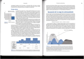 FIGURA 2.10 Macrociclos escalonados y pianos de la fase de preparaci6n. Las cargas escalonadas son
mas apropiadas en la fase preparatoria precoz, mientras que las cargas planas lo son para otros microciclos.
Precompetitiva
Especffica
General
Subfase de
entrenamiento
Competitiva
Preparatoria
Fasede
entrenamiento
Tipo de
macroclclo
Microciclos
FIGURA 2.11 Modelo secuencial para el desarrollo de una actividad de fondo de media duraci6n.
El entrenamiento aer6bico comprende la mitad del ciclo aproximadamente. En este ejemplo, la preparaci6n ffsica
general (PFG) precede a la fase concentrada de carga de la fuerza. Este modelo utiliza el efecto de las adaptaciones
retardadas del entrenamiento, mientras desarrolla la velocidad en el tercer bloque de entrenamiento. La fase
final se dedica al entrenamiento de resistencia, marcado por el entrenamiento especializado para la resistencia
a la velocidad, la cual es el objetivo especffico de la competici6n.
Adaptado con permiso de M. C. Siff, 2003, Supertraining(Denver, CO: Supertraining International).
Tiempo
Como se sefiala en la figura 2.11, durante la primera parte del ciclo de entrenamiento, el
deportista llevara a cabo una gran cantidad de trabajo aer6bico, junta con un entrenamiento
para desarrollar sus atributos fisicos generales. Despues de esta fase, se concentrara en el
desarrollo de la fuerza. Tras completar este periodo de cargas concentradas, el deportista
cambia el enfasis para desarrollar la velocidad, con la subsiguiente disminuci6n del desa-
rrollo de la fuerza y del entrenamiento aer6bico. El efecto en conjunto de estos cambios en
el enfasis de entrenamiento es el de disminuir el estres del trabajo global, lo cual permite
Preparaci6n ffsica general -+ fuerza -+ velocidad -+ resistencia
Uno de los aspectos mas importantes de la periodizaci6n del entrenamiento es la secuencia-
ci6n de la carga. Si esta se hace apropiadamente, cada fase de entrenamiento incrementara
el efecto de la siguiente (potenciaci6n). Por ejemplo, las investigaciones apoyan la idea del
efecto que la fase de potenciaci6n ha demostrado en el desarrollo de la fuerza y la potencia
(47). Harris y colaboradores (47) demostraron que el aumento 6ptimo del rendimientode
la fuerza y la potencia se produce cuando el desarrollo de la fuerza basica precede al desa-
rrollo de ambos parametros. Siffy Verkhoshansky (82) sugieren que el mejor desarrollo de
la resistencia del fondo de media duraci6n, en un deporte cfclico,se produce ordenandoel
entrenamiento del siguiente modo:
Secuencia de la earga de entrenamiento
disminuyen para eliminar la fatigay elevarel nivel de rendimiento del deportista (incremen-
tando su forma ffsica).Recientesinvestigacionessugieren que sepueden precisar intensidades
mas elevadascon menos volumen para mantener el rendimiento durante el trabajo de la fase
competitiva (52). Sin embargo, antes de las competiciones principales, hay que disminuir las
cargasde entrenamiento para permitir que el deportista pueda recuperarsey, sila programaci6n
ha sido la correcta, supercompensarse, con lo cual maximizara el rendimiento.
61
Principios del entrenamiento
O Microciclo de carga La estructura de carga plana se utiliza fundamentalmente para la fase de
• Microciclo de descarga preparaci6n especffica y la fase competitiva en los deportes de potencia
{lld). En este modelo, dos microciclos con cargas similares se siguen de un
microciclo de recuperaci6n. En los modelos de carga plana (figura 2.9), los
primeros microciclos crean unas exigenciasfisiol6gicas elevadas como resul-
tado de la carga de entrenamiento (la cual es la carga optima para estimular
las adaptaciones de las habilidades biomotoras entrenadas y, por tanto, no
busca la sobrecarga). Traslos primeros 2 microciclos, el deportista emprende
un tercero suave, denominadosin carga o de descarga, durante el que reduce
la fatiga y aumenta la puesta en forma.
El modelo de cargaescalonada puede utilizarse junta con el modelo de carga
2 plana para incrementar progresivamente la carga de trabajo del deportista. La
Microciclo figura2.10nos muestra la fasepreparatoria de entrenamiento en la que la carga
cambia segun el alcance de la fase de entrenamiento. Tambien, el programa
Ejemplo de modelo de d
mostra o en la figura 2.10 puede desglosarse en tres subfases principales:
general, especfficay de preparaci6n precompetitiva.
En la subfase de preparaci6n general pueden emplearse dos tipos de estruc-
tura de macrociclo (3:1 y 2:1) para estimular las adaptaciones fisiol6gicasy psicol6gicas que
prepararan al deportista para la siguiente subfase, que sera de entrenamiento intensivo. Las
metas de entrenamiento de preparaci6n general se logran mediante el incremento progresivo
en las cargas,utilizando el modelo de carga escalonada. Tras completar la subfase de prepa-
raci6n general, el deportista pasa a la siguiente de preparaci6n especffica.
En la subfase especffica de preparaci6n, la meta principal es aumentar, tanto coma sea
posible, la forma ffsica del deportista, su competencia tecnica y sus destrezas tacticas, Esto
se consigue exponiendole a unas cargas de entrenamiento elevadas durante series cortas de
microciclos,seguidospor microciclosde regeneraci6npara contrarrestarelsobreentrenamiento.
Trascompletar esta subfase,el foco del entrenamiento cambia a la estabilizaci6n y el logro del
pico de rendimiento, propios de la subfase competitiva. Por tanto, estas tres fasespreparan al
deportista para rendir al maximo nivel en su competici6n mas importante.
La dinamica de los esquemas de carga de las fasespreparatoria y competitiva dependen de
la importancia y frecuencia de las competiciones. Las cargas de entrenamiento en estas fases
Carga plana
investigadores establecen que el entrenador o el deportista deben crear mayor contraste
entre los bloques de carga concentrada y el de recuperaci6n reduciendoen mayor medida
la distribuci6n del entrenamientodurante los bloques de recuperaci6n.
Period izaci6n
FIGURA 2.9
carga plana.
60
 