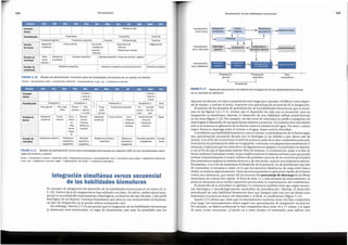 El concepto de integraci6n del desarrollo de las habilidades biomotoras no es nuevo (5, 6,
9, 10).Ambos tipos de integraci6n se han utilizado con exito. En efecto, ambos tipos repre-
sentan la necesidad del entrenamiento (fisiol6gica), en funci6n del tipo de plan, y del perfil
fisiol6gico de un deporte. Creemos firmemente que estos no son mutuamente excluyentes;
un tipo de integraci6n no se puede utilizar excluyendo otra.
Sin embargo, Issurin ( 17) ha propuesto que la integraci6n de las habilidades biomotoras
(y destrezas) sean secuenciales, en lugar de simultaneas; aun mas, ha postulado que los
lntegracion simultanea versus secuencial
de las habilidades biomotoras
FIGURA 5.11 Modelo de periodizaci6n biciclo para habilidades dominantes en nataci6n (200 m) con campeonatos nacio-
nales de invierno y verano.
Comp.= competitive;To trans.= transici6n; prep.= preparaci6n;precomp.= precompetici6n;conv.= conversion; anat. adapt.= adaptaci6n anat6mica;
muse. res. = resistencia muscular; regen. = regeneraci6n;res. anaer. = resistencia anaer6bica.
I - -
1
1-~ic. I
1--Feb.-.
I
-
·1 I 'I_ !un. 1:~M_.r'j, Aic( Ll ;s;pt~-r~~-c:i~=I
Fechas Nov. Ene. Mar. Abr. May.
- ,.,. - ~----- ------- - ~-,
Competi- Campeo- Campeo-
clones natos de natosde
invierno verano
Perlodlzaclon Preparaci6n1 Competici6n1 T Preparaci6n2 Competici6n2 Trans.
Prep. general Prep. espe- Precom- Com- T Prepa- Preparaci6n especifica Pre- ! Competi- Trans.
I
cffica petici6n petici6n raci6n c~m~e-1 ci6n prin-
principal general ncion, 1 cipal
Periodo de Adaptaci6n Fuerza Conv.: Manteni- Adaptaci6n Fuerza maxima Conv.: Mantenimiento: Regen.
fuerza anat6mica maxima -Poten- miento: anat6mica -Potencia -Potencia
cia -Potencia -Resitencia -Resitencia
-Res~ -Resitencia muscular muscular
tencia muscular
muscu-
lar
Periodo de Resistenciaaer6bica Resistencia Velocidad Resistenciaaer6bicay Resistencia Velocidadespecffica Competi-
velocidad anaer6bicay especfficay anaer6bica anaer6bicay y ergogenesis ciones
ergogenesls ergogenesis ergogenesls
FIGURA 5.10 Modelo de periodizaci6n monociclo para las habilidades dominantes de un equipo de belsbol.
Period. = periodizaci6n; prep. = preparaci6n; precomp. = precompetici6n; muse. res. = resistencia muscular.
Periodo de
reslstencia
Resistenciaaer6bica
Resistenciaespecfficade perfeccionamiento
Resistenciaespecrtica
Perfodode
velocidad
deportes modemos con fases competitivas muy largas (por ejemplo, el fiitbol y otros depor-
tes de equipo, o incluso el tenis), requieren una aproximaci6n secuencial de la integraci6n.
El examen de los ejemplos de periodizaci6n de las habilidades biomotoras que se mues-
tran en las figuras 5.6 a 5.11, revelan que el desarrollo de cada una es secuencial, pero su
integraci6n es simultanea. Ademas, el desarrollo de una habilidad influye positivamente
en las otras (figura 5.12). Por ejemplo, un alto nivel de velocidad no puede conseguirse sin
antes lograr el desarrollo de una gran fuerza maxima y potencia. Un nadador sera mas rapido
solo si incrementa la aplicaci6n de su fuerza contra la resistencia del agua. Por tanto, cuanto
mayor fuerza se imponga sobre el terreno o el agua, mayor sera la velocidad.
Considerese una habilidad biomotora coma la fuerza. La periodizaci6n de la fuerza sigue
una aproximaci6n secuencial dictada por la fisiologia (y no debido a que ahora este de
moda). Con el fin de incrementar el nivel de potencia antes de la fase competitiva principal,
la secuenciade periodizaci6n debe serla siguiente: comenzar con adaptaciones anat6micas (3
semanas o mas) para que los rmisculosy los ligamentos seadapten a la actividad o al deporte,
y con el fin de que el deportista entrene libre de lesiones. A continuaci6n, pasar a la fase de
fuerzamaxima (4 semanas o mas), la que implica entrenar el sistema nervioso para que pueda
reclutar voluntariamente el mayor mimero de unidades motoras de los motores principales
(los rmisculos serealizan la destreza tecnica) y, de este modo, superar una resistencia externa.
Finalmente, con el fin de maximizar el desarrollo de la potencia, ha de planificarse una fase
de conversion (4 semanas o mas), en la que los ejercicios dinarnicos, de carga entre baja a
media, se realicen explosivamente. Estosejerciciospermiten la aplicaci6n rapida de la fuerza
contra una resistencia, que resulta del incremento del porcentaje de descarga de las fibras
musculares de contracci6n rapida. Al final de estas 11 o mas semanas de entrenamiento, la
potencia alcanzara unos niveles superiores provocando la maximizaci6n del rendimiento.
El desarrollo de la velocidad, la agilidad y la resistencia tambien tiene que seguir secuen-
cias fisiol6gica y metodol6gicamente razonables de periodizaci6n. Ademas, el desarrollo
periodizado de cada habilidad biomotora tiene que integrar cada una con las dernas para
maximizar el potencial motor de! deportista y, al final, su rendimiento (figura 5.12).
lssurin ( 17) afirma que, dado que el entrenamiento modemo tiene una fase competitiva
muy larga, los entrenamientos deben seguir una aproximaci6n de integraci6n secuencial.
Por ejemplo, en fiitbol profesional la fase competitiva dura entre 10 y 15 meses, y se sigue
de unas cortas vacaciones. iCuando va a tener tiempo el entrenador para aplicar una
FIGURA 5.12 Desarrollosecuencialy sirnultaneo de la integraci6n de las habilidades biomotoras
de un velocista en atletismo.
Preparaci6n
Preparaci6n
especffica
Preparaci6n
general
Velocidadespecffica, tiempo de reacci6n y agilidad
Resis-
tencia
aer6bica
Velocidad especffica
Resistencia
anaer6bica
Periodizaci6n
de la resistencia
Velocidad _.... Aceleraci6n __.. Aceteracion a -+----Mantenimiento
general velocidad maxima
Periodizaci6n
de la velocidad
Periodo
de fuerza
Conversion:
-Resistencia
muscular
-Potencia
++
Regeneraci6n
Mantenimiento:
-Potencia
-Resistenciamuscular
Fuerza maxima
Adaptaci6n
anat6mica
L t
Potencia
Transici6n
Partidosde llga
Precomp.
Preparaci6nespecffica
Preparaci6n general
Resistencia . .
----- de potencia ...___.. Mantenirniento
t
Adaptaci6n --- Fuerza
anat6mica maxima
Periodizaclon
Fase
competitiva
Periodizaci6n
de la fuerza
115
Transici6n
Competitiva
Preparatoria
Periodizaci6nde las habilidades biomotoras
Periodizaci6n
114
 