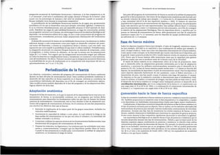 La fasede conversiontransforma la fuerzamaxima en potencia o resistenciamuscular (capftulo
10). Tambien proporciona la transicion entre la fase preparatoria y la competitiva, y equipa
a los deportistas con habilidades neuromusculares vitales para lograr mayor rendimiento.
Gradualmente,eldeportista convertirael desarrollo delafuerzaen fasedefuerzamaximayen
el tipo de potencia necesaria para su deporte. Esto se realiza con los metodos adecuados del
entrenamiento de potencia (por ejemplo, balones medicinales, entrenamiento de velocidad,
pliometrfa). Durante esta fase, han de mantenerse los niveles maximos de fuerza; si estos
decaen, tambien disminuira la habilidad para maximizar la capacidad de generar potencia.
Si esto ocurre durante la fase competitiva, igualmente decreceran la velocidad y la agilidad.
Las caracteristicasfisiologicas de un deporte dictan el tipo de potencia o resistencia que se
necesita desarrollar durante esta fase de entrenamiento. Debido a que la mayor parte de los
deportes requieren alguna combinacion de potencia y resistencia, la relacion entre ambas
caracterfsticasdebe igualar las demandas del deporte. Por ejemplo, la relacion puede ser casi
igual en un luchador, mientras queen un piragiiista (200 my 500 m) podrfa predominar
una u otra. La resistencia muscular debe prevalecer en los remeros (duracion de las carre-
ras: de 6 a 8 min.), los nadadores de fondo (400-1.500 m), los esquiadores de modalidad
nordica y los que hacen triatlon.
Conversion hacia la fase de fuerza especi'fica
Todos los deportes requieren fuerza (por ejemplo, el salto de longitud), resistencia muscu-
lar (por ejemplo, 400-800 men natacion) o una combinacion de ambas (por ejemplo, el
remo, el esquf nordico ). Tanto una como otra dependen directamente de la fuerza maxima.
Como apoyo a este concepto, se ha demostrado que cuanto mas fuerte sea el deportista, por
lo general, mayor potencia producira (38) y tendra mejores niveles de resistencia muscular
(26). Parece que la fuerza maxima debe aumentarse antes que la capacidad para generar
potencia, puesto que esta es producto tanto de la fuerza como de la velocidad.
El tramo de fuerza maxima es un componente crftico de la fase de preparacion, dado
que se desarrolla sobre las adaptaciones generales estimuladas por la fase de adaptacion
anatomica, y acrecienta los atributos neuromusculares necesarios para el desarrollo de la
potencia (10, 43). La fase de fuerza maxima puede oscilar entre 1 y 3 meses en funcion del
deporte, las necesidades de deportista y el plan de entrenamiento anual. Para los deportistas
cuyos deportes dependen fuertemente de este pararnetro, como el futbol americano o el
lanzamiento de peso, esta fase puede ocupar el extrema mas largo del espectro (3 meses).
En deportes en los que la resistencia muscular es deterrninante para el rendimiento final,
como el ciclismo, el triatlon o el maraton de piragua, esta fase puede ser mas corta (1 mes).
El desarrollo de la fuerza maxima se consigue mejor trabajando primero el desarrollo de la
coordinacion intennuscular,que es un componente de la fuerza (2 a 6 repeticiones con
una carga entre el 70 al 80 % de lRM), ya continuacion el componente intramuscular de
la fuerza (1 a 3 repeticiones con cargas entre el 80 al 90 % de lRM).
Fase de fuerza maxima
Estaparte del programa de entrenamiento de fuerza es crucialen la subfase de preparacion
general de la fasepreparatoria. Estetramo de las adaptaciones anatomicas esta marcado por
un elevado volumen de trabajo (por ejemplo, 2 o 3 series de 8 a 20 repeticiones) realizado
a baja intensidad (40-65 % de una repeticion maxima o lRM). El numero de ejercicios
dependera de la experienciade entrenamiento del deportista: por lo general, los principiantes
haran mas ejercicios que los mas experimentados. Esta subfase deberfa durar 12 semanas
para los principiantes, y entre 2 y 4 semanas para los mas avanzados, con el fin de conseguir
el objetivo de las adaptaciones fisiologicas. Para los deportistas junior, o aquellos que no
posean un historial de entrenamiento de fuerza, debe garantizarse una fase de adaptacion
anatornica mayor (de 9 a 12 semanas ); para los deportes de equipo profesionales, puede
ser suficiente de 2 a 4 semanas.
117
Periodizaci6n de las habilidades biomotoras
Despues de la fase de transicion, en la que la mayoria de los deportistas hacen muy poco en-
trenamiento de fuerza, es recomendable comenzar con un programa que incluya dicho
entrenamiento para desarrollar los fundamentos sobre los que han de basarse las futuras
practicas de entrenamiento. Generalmente, esto se hace durante la fase de adaptacion ana-
tornica del programa de entrenamiento de fuerza. En el comienzo de esta fase preparatoria,
son muchos los objetivos clave que se buscan:
• Estimular la implicacion de la mayor parte de los grupos musculares, incluidos los
musculos estabilizadores.
• Incrementar la capacidad de trabajo a corto plazo, lo cual reducira la fatiga en las
fases tardfas del entrenamiento en las que son altos el volumen y la intensidad del
trabajo orientado a la tecnica.
• Comenzar a trabajar los aspectos tecnicos de los levantamientos fundamentales, base
fundamental del programa del entrenamiento de fuerza.
• Preparar los rmisculos, los ligamentos y los tendones para las actividades muy estre-
santes y, consecuentemente, conseguir que los deportistas queden libres de lesion.
Cuando la fase preparatoria es inadecuada, concretamente la subfase de adaptacion
anatomica, se incrementa el riesgo de lesion.
Adaptacion anatomlca
Los objetivos, contenidos y metodos del programa del entrenamiento de fuerza cambiaran
durante las fases del plan de entrenamiento anual. Estos cambios permitiran maximizar el
desarrollo del tipo especifico de fuerza requerido en el deporte, mientras se consideran las
caracteristicas individuales del deportista con el fin de conseguir un rendimiento optimo,
Tales modificaciones tambien dependen de la fase del programa y de las adaptaciones fisio-
logicas objetivo de dicha fase.
Periodizacion de la fuerza
integracion secuencial de habilidades biomotoras y destrezas, si la fase preparatoria es de
3 a 4 semanas? z.Cual sera el rendimiento del equipo durante el bloque de la fuerza? iQue
ocurre con los porcentajes de lesiones y del nivel de rendimiento cuando se acumula el
bloque multiples veces durante la temporada competitiva?
La periodizacion de las habilidades biomotoras tambien ha de seguir una aproximacion
simultanea a la vez que se desarrollan otras (por ejemplo, velocidad, agilidad, y resistencia).
Si no se entrenan simultaneamente, sera casi imposible alcanzar el nivel esperado de desa-
rrollo. Distribuir las cargas de cada habilidad biomotora, en lugar de concentrarlas, permite
una progresion racional con eltiempo, sin sobrecargasbruscas de los sistemas fisiologicosdel
deportista. Los incrementos siibitos de la carga,en uno o mas componentes del programa de
entrenamiento, normalmente provocan malas adaptaciones, disminucion del rendimiento
o lesiones.
El desarrollo secuencial de Issurin de las habilidades biomotoras y las destrezas no dedica
suficiente tiempo a cada componente como para lograr un desarrollo completo del poten-
cial motor del deportista, o retener su competencia tactica y tecnica: y por otro lado, una
exposicion tan corta impide la posibilidad de que <lure el «efectoresidual». Probablemente,
la integracion secuencial con mayores bloques funcione en deportes de temporada, como
el piragiiismo o ciertos eventos de atletismo, en los que la norma son las preparaciones
largas de 5 a 6 meses. Pero sugerir que las integraciones secuenciales tengan que utilizarse
en todos los deportes es completamente irreal y, ciertamente, no conducen a una maximiza-
don del rendimiento. En efecto, Platonov encontro que la integracion secuencial disminufa
la probabilidad de un pico de rendimiento en la competicion mas importante del afio en,
aproximadamente, un 5 a un 15 % (30).
Periodizaci6n
116
 