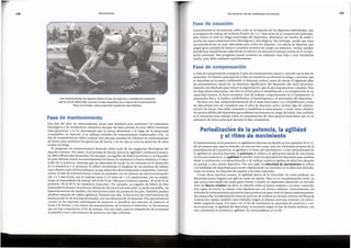 El entrenamiento de la potencia y la agilidad se discuten en detalle en los capftulos 10 al 12,
de tal manera que aqui se trataran, en una seccion corta, solo los elementos propios de la
periodizacion de la potencia, la agilidad y el ritmo del movimiento. Como determinante de
la agilidad en muchos deportes, la potenda se refiere a la aplicacion rapida de una fuerza
contra una resistencia. La agilidadse percibe como la capacidad del deportista para cambiar
desde la aceleraci6n a la desaceleraci6n y de realizar cambios rapidos de direccion durante
un partido u otro evento deportivo. Por otro lado, la veloddad de movimientose refiere
a la habilidad del deportista para mover rapidarnente un miembro en la direccion deseada,
como en boxeo, los deportes de raqueta y las artes marciales.
Como dicen muchos autores, la agilidad deriva de la velocidad. En otras palabras, un
deportista nunca llegara a ser agil sin antes ser rapido. Esto no es completamente cierto, ya
que nunca sera rapido sin antes ganar fuerza. Cuando un deportista desarrolla un elevado
nivel de fuerzarelativa(es decir, la relacion entre su fuerza maxima y su peso corporal),
sera capaz de mover su cuerpo mas rapidamente con menor esfuerzo. Generalmente, los
metodos de entrenamiento necesarios para producir un gran nivel de fuerza maxima preten-
den desarrollar la habilidad del sistema nervioso de reclutar un elevado mimero de fibras de
contracci6n rapida: tambien estos metodos exigen al sistema nervioso entrenar con veloci-
dades angulares bajas. Por tanto con el fin de maximizar la capacidad de potencia y, con-
secuenternente. la agilidad del deportista, es necesario seguir la fase de fuerza maxima, con
una conversion en potencia y agilidad. En otras palabras, se ha de:
Periodizacion de la potencia, la agilidad
y el ritmo de movimiento
Fase de compensaci6n
La fase de compensaci6n completa el plan de entrenamiento anual y coincide con la fase de
transicion. El objetivo principal de la fase de transicion es eliminar la fatiga, y permitir que
el deportista se recupere (utilizando el descanso activo) antes de iniciar el siguiente plan
de entrenamiento anual sin un deterioro significativo del desarrollo del nivel biomotor.
Ademas,esta disefi.adapara inducir la regeneraci6n, que esuna empresa muy compleja. Para
los deportistas lesionados, esta fase se utiliza para la rehabilitaci6n y la recuperacion de su
capacidad motora. Si fuera necesario, han de trabajar conjuntamente en el tratamiento el
preparador ffsico, el medico rehabilitador, el fisioterapeuta y el entrenador del deportista.
Durante esta fase, independientemente de si estan lesionados o en rehabilitacion, todos
los deportistas han de considerar que el plan de descanso activo incluye algo de entrena-
miento de fuerza. Este debe orientarse a estabilizar la musculatura, y tener como objetivo
los puntos debiles del deportista que pudieran incrementar su riesgo de lesion. Estetambien
es el momenta para trabajar sobre la compensaci6n de otros grupos musculares que no se
utilizaron de forma principal durante la fase competitiva.
Fase de cesaci6n
Generalmente se recomienda, sobre todo en la mayorfa de los deportes individuales, que
el programa de trabajo de la fuerza finalice de 5 a 7 dias antes de la competici6n principal.
Esto reduce el nivel de fatiga acumulada del deportista, disminuye sus niveles de estres y
facilita las supercompensaciones fisiol6gicas y psicol6gicas. Sin embargo, puede que estas
recomendaciones no sean adecuadas para todos los deportes. Los atletas de deportes que
exigen gran cantidad de fuerza y potencia (eventos de campo en atletismo, lucha), pueden
beneficiarse simplemente reduciendo el mimero de sesiones la semana previa de la compe-
tici6n principal. Este programa puede contener un volumen muy bajo y una intensidad
media, pero debe realizarse explosivamente.
119
Periodizaci6n de las habilidades biomotoras
Esta fase del plan de entrenamiento anual esta disefiada para mantener los estandares
fisiol6gicos y de rendimiento obtenidos durante las fases previas. Es muy diffcil mantener
estas ganancias, y se ha demostrado que la fuerza disminuye a lo largo de la temporada
competitiva, en especial, si se utilizan metodos de entrenamiento inadecuados (18). La
fase de mantenimiento debe contener una elevada cantidad de volumen de entrenamiento
de fuerza para mantener las ganancias de fuerza, a la vez que se evita la aparici6n de altos
niveles de fatiga.
El programa de mantenimiento depende sobre todo de las exigencias fisiol6gicas del
deporte concreto. Por tanto, el porcentaje de fuerza, potencia, agilidad y resistencia muscu-
lar debe refleiartales demandas. Por ejernplo, un jugador de futbol americano o un lanzador
de peso deberta centrar su entrenamiento de fuerza en mantener la fuerza maxima y el desa-
rrollo de la potencia, mientras que un deportista de fondo ha de centrarse en el desarrollo
de la resistencia y la potencia. Es diftcil recomendar el desglose de las sesiones de trabajo
cuyo objetivo sean dichos atributos,ya que dependen de la temporada competitiva. General-
mente, la fase de mantenimiento consta de unidades con un mimero de ejercicios pequefio
(de 2 a 5 ejercicios), que se realizan entre 2 y 4 series de 1 a 6 repeticiones. con un amplio
rango de intensidades de trabajo (60 al 80 % de lRM para la fuerza maxima, 30 al 80 % de
potencia, 30 al 60 % de resistencia muscular). Por ejernplo, un jugador de fiitbol de elite
mantendra la fuerzay la potencia utilizando tres ejerciciosesenciales: la media sentadilla, las
hiperextensiones de espalda y las elevaciones sobre las puntas de los pies. Tambien pueden
afiadirse empujes de cadera (gluteos). Durante esta fase, la frecuencia de entrenamiento de
fuerza puede ser de dos dfas semanales, con una duraci6n de 30 minutos. Una aproximaci6n
cormin en los deportes individuales de potencia es planificar dos sesiones de potencia el
lunes y el viernes, y una sesi6n de mantenimiento de la fuerza el miercoles, en las semanas
que no hay competici6n el fin de semana. Por otro lado, para la competici6n de la semana
se planifica una o dos sesiones de potencia con bajo volumen.
Fase de mantenimiento
Las caracterfsticas del deporte dictan el tipo de potencia o resistencia necesario
que se ha de desarrollar durante la fase especffica de la fuerza del entrenamiento.
Para un luchador, esta proporci6n puede ser casi identlca,
Periodizaci6n
118
 