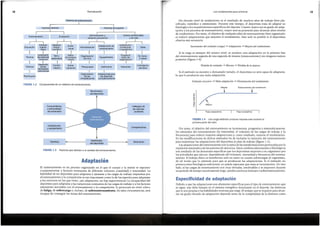 Debido a que las adaptaciones son altamente espedficas para el tipo de entrenamiento que
se sigue, este debe basarse en el sistema energetico dominante en el deporte, las destrezas
que le son propias y las habilidades motoras que exige.El tiempo que se requiere para alcan-
zar un grado elevado de adaptaci6n depende tanto de la complejidad de la destreza como
Especificidad de adaptaelon
Por tanto, el objetivo del entrenamiento es incrementar, progresiva y sisternaticamente,
los estfrnulos del entrenamiento (la intensidad, el volumen de las cargas de trabajo y la
frecuencia) para inducir mayores adaptaciones y, como resultado, mejorar el rendimiento.
En las modificaciones de dichos estfmulos ha de incluirse la variaci6n del entrenamiento
para maximizar las adaptaciones del deportista al plan de trabajo (figura 1.5).
Las adaptaciones del entrenamiento son la suma de las transformaciones provocadas por la
repetici6n sistematica de las sesiones de ejercicios. Estoscambios estructurales y fisiol6gicos
son resultado de las demandas espedficas que los deportistas imponen a su organismo por
las actividades que ejercen, dependiendo del volumen, intensidad y frecuencia del entrena-
miento. El trabajo ffsico es beneficioso solo en tanto en cuanto sobrecargue al organismo,
de tal modo que lo estimule para que se produzcan las adaptaciones. Si el estimulo no
provoca retos fisiol6gicos suficientes, no puede esperarse que estas se incrementen. De otro
lado, si las cargas de entrenamiento son muy elevadas, intolerables y se imponen durante
un periodo de tiempo excesivamentelargo, pueden provocar lesiones o sobreentrenamiento.
FIGURA 1.4 Una carga estandar produce mejoras solo durante la
primera parte del plan.
Fase preparatoria Fase competitiva
Estancamiento del rendimiento
t
Meseta
Estfrnuloexcesivo -+ Mala adaptaci6n -+ Disminuci6n del rendimiento
Si el estfrnulo es excesivoo demasiado variado, el deportista no sera capaz de adaptarse,
lo que le producira una mala adaptaci6n.
Perdida de estimulo -+ Meseta -+ Perdida de la mejora
Si la carga es siempre del mismo nivel, se produce una adaptaci6n en la primera fase
del entrenamiento seguida de una segunda de meseta (estancamiento) sin ninguna mejora
posterior (figura 1.4):
Incremento del estfrnulo (carga)-+ Adaptaci6n-+ Mejora del rendimiento
Un elevado nivel de rendimiento es el resultado de muchos afios de trabajo bien pla-
nificado, met6dico y estimulante. Durante este tiempo, el deportista trata de adaptar su
fisiologia a los requerimientos espedficos del deporte. Cuanto mayor sea su grado de adap-
taci6n a los procesos de entrenamiento, mayor sera su potencial para alcanzar altos niveles
de rendimiento. Por tanto, el objetivo de cualquier plan de entrenamiento bien organizado
es inducir adaptaciones que mejoren el rendimiento. Esto solo es posible si el deportista
observa esta secuencia:
19
Losfundamentos para entrenar
El entrenamiento es un proceso organizado en el que el cuerpo y la mente se exponen
constantemente a factores estresantes de diferente volumen (cantidad) e intensidad. La
habilidad de un deportista para adaptarse y ajustarse a las cargas de trabajo impuestas por
el entrenamiento y la competici6n estan importante como la de las especies para adaptarse
a los entornos en los que viven: [sin adaptaci6n, no hay supervivencia! La incapacidad del
deportista para adaptarse a las variaciones constantes de las cargas de trabajo ya los factores
estresantes asociados con el entrenamiento y la competici6n, le provocara un nivel crftico
de fatiga,de sobrecargao, incluso, de sobreentrenamiento.En tales circunstancias, sera
incapaz de conseguir las metas del entrenamiento.
Adaptacion
FIGURA 1.3 Factores que afectan a la calidad del entrenamiento.
Motivaci6n
Genetica
Habilidades
del deportista
Competiciones
lnstalaciones
y equipamiento
Hallazgos de
las ciencias
auxiiiares
Conocimientos
y personalidad
del entrenador
Rendimiento
del deportista
FIGURA 1.2 Componentes de un sistema de entrenamiento.
lnstalaciones para
los deportes
complementarios
Organizaci6n
de las
competiciones
Actividad al
aire libre
Descanso
Vestimenta
Presupuesto
Equipamiento
Organizaci6n
del club
Dieta
Administraci6n
tnstalaciones de
entrenarmento
No fumar
ni beber
I
Satisfacci6n
profesional
o academica
I
Programa
diario de
organizaci6n
I
I I
Entrena- Asesora- Audio-
Educaci6n miento miento
visual
fisico cientffico
I I
lncremento Testy Diario
Teenlca del potencial de entrena-
funcional estandares miento
I I
Desarrollo Control Autoe-
Tacticas de las
medico valuaci6n
habilidades
biomotoras
Planificaci6n
Evaluaci6n
Entrenamiento
Estilos profesionales
y devida
I
Administraci6n y
situaci6n econ6mica
I
Factores de soporte
Factores directos
I
Sistema de entrenamiento
Periodizaci6n
18
 