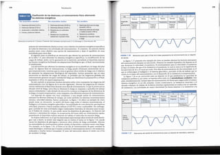 FIGURA 7 .27 Alternancia del estres de entrenamiento para un deporte de velocidad Y potencia.
Curva
te6rica
de fatiga
Potencia Tactica
Ritmo
Velocidad
Dia L M x J
Tecnica Velocidad Ritmo Tecnica
Exigencias Fuerza Potencia Tactica Fuerza
del maxima o resistencia maxima
entrenamiento a la potencia
v s 0
Resistencia
a la potencia
~" • - Dia de microciclo
FIGURA 7.26 Microciclo para usar al final de la fase preparatoria de entrenamiento de un deporte
de equipo.
La figura 7.27 presenta otro ejemplo de c6mo se pueden alte~ar l~s.factores estresantes
del entrenamiento durante un microciclo. Presenta un modelo hipotetico de deporte en ~l
que dominan la velocidad y la potenci~. El entrenan_iiento para la velocidad y la ~o.t~naa
se hace el mismo dfa que el de resistencia a la potencia, lo cual se marca e°; la re~et1C1on de
los ejercicios de 10 a 25 vecespor serie: Dos dfas de ~r:itrenamientode a~ta mtens1~ad, en el
que se sobrecargan el fosfageno y el sistema glucolftico, preced~n al ?1a de trabajo 9-;1e se
centra en el ritmo del entrenamiento yen el desarrollo de la res1stenci~(compensa.cion).
La figura 7.28 es un microciclo para un deporte en el que predomma la capacidad de
resistencia aer6bica y, por tanto, se soporta sabre todo en el metabolismooxidativo.. Este
plan, sirnultaneamente, incluyetipos de entrenamiento de ~erza que_carga~ sobre el rmsmo
sistema energetico en un dfa concreto. Como consecu~~aa, la res1st~nciamuscul~r o _el
elevado volumen de trabajo de la fuerza (muchas repeticiones) se _realiza tras ~n ep~sod10
de resistencia. Las actividades de mayor intensidad (la fuerza maxima o la resistencia a la
Curva
te6rica
defatiga
Potencia
o fuerza
maxima
Resistencia Velocidad Resistencia
Tecnica
Tactica Tecnica
O tactica
Ofa L M x
Tecnica Tactica Tecnica
Exigencias
Velocidad Resistencia
del
entrenamiento Potencia Potencia
o fuerza o fuerza
maxima maxima
J v s 0
i -- .- . -- .-- - ~--- Dfademicrocicl~-~ _ -_:-:: = -= ----:-::- ::i1 .,,;_]
175
Planificaci6n de los ciclos de entrenamiento
sesiones de entrenamiento diarias es tener como objetivo los sistemas energeticos espedficos
de todas las destrezas y las actividades del entrenamiento. Al contrario, las sesiones diarias
pueden tener como objetivo una opci6n de entrenamiento y dejar el equilibria de otras
actividades para otros dfas.
El segundo paso es planificar un microciclo que alteme las opciones de entrenamiento
de la tabla 7.6, para estimular los sistemas energeticos especfficos. La modificaci6n de las
cargas de trabajo, junto con la aportaci6n de la nutrici6n, permitiran al deportista reponer
las fuentes energeticas facilitando las adaptaciones fisiol6gicas que, al final, incrementaran
el rendimiento.
Losmicrociclos que alteman los sistemas energeticos no se planifican a lo largo del plan
anual. En algunas fases de entrenamiento, la fatiga puede eliminarse estimulando las su-
percompensaciones, mientras que en otras se generan altos niveles de fatiga con el objetivo
de estimular las adaptaciones fisiol6gicas del deportista. Incluso pensando que en estos
microciclos se alteman las cargas de trabajo, es probable que las exigencias globales de!
entrenamiento generen una gran cantidad de fatiga que disminuya la preparaci6n y, al final,
suprimira el efecto de supercompensaci6n.
En este capftulo se presentan muchos ejemplos sobre c6mo manipular las exigencias del
entrenamiento (ver las figuras de la secci6n siguiente). Altemar las exigencias de entrena-
miento estimulara al deportista durante unos dfas de entrenamiento, lo que le provocara un
elevado nivel de fatiga; otros dfas se eliminara la fatiga en respuesta a episodios de trabajo
menos estimulantes. Cada ejemplo de microciclo contiene un diagrama de las dinamicas de
la fatiga o la supercompensacion, como respuesta a las diferentes sesiones de entrenamiento.
Los deportes de equipo son muy complejos, y una simple sesi6n de entrenamiento
estresara los diversos sistemas de energfa, asf coma tambien los sistemas neuromusculares
[tecnica, velocidad maxima, fuerza y potencia). La figura 7.26 ofrece un ejemplo de c6mo
puede variar un microciclo. La sesi6n del lunes carga sabre el sistema neuromuscular, el
fosfageno y el sistema energetico glucolftico. Las actividades de corta duraci6n que implican
velocidad, potencia y fuerza maxima utilizan el ATP-PCrcoma combustible. Sin embargo,
gran cantidad de estas actividades exigen inadecuados intervalos de descanso para recupe-
rar el fosfato de creatina, lo que puede vaciar los dep6sitos de gluc6geno. En funci6n de!
volumen e intensidad de trabajo, la recuperaci6n de! lunes debe ser relativamente rapida,
permitiendo al deportista realizar sesiones de trabajo el miercoles sin excesivafatiga.
Enel plan tradicional, en el que los deportistas experimentan altos niveles de estresfisiolo-
gico casi a diario, la sesi6n mas exigente que se realiza el lunes en la figura 7.26, puede
vaciar los dep6sitos de gluc6geno y provocar altos niveles de fatiga acumulada. Altemar
las intensidades de entrenamiento puede ayudar al deportista a manejar mejor esta fatiga.
Por ejemplo, en la figura 7.26, el lunes es un dfa de entrenamiento de gran cantidad de
estres fisiol6gico, mientras que el martes contiene el entrenamiento tactico y de resistencia,
realizados a mucha menor intensidad. El resto del microciclo altema el estres con el fin
de modular la fatiga.
Reproducido con permiso de T. 0. Bompa y C. Buzzichelli, 2015, Periodization training for sports, 3.• ed. (Champaign, IL: Human Kinetics), 169.
1 Destrezas tecnlcas de larga
duraci6n (>60 s).
2. Destrezas tactlcas del larga
a media duraci6n (>60 s).
3. Resistencia aer6bica.
4. Resistencia muscular media
a larga.
1 Destrezas tecnicas (10-60 s),
2. Destrezas tactlcas (10-60 s).
3. Resistencia a la velocidad
(10-60 s).
4. Resistencia a la potencia,
resistencia muscular corta.
1 Destrezas tecnleas (1-10 s),
2. Destrezas tacticas (5-10 s),
3. Aceleraci6n y velocidad maxima.
4. Fuerza y potencia maxima.
Dfa aer6bico
Dfa anaer6bicolaetleo
Dfa anaer6bicoalactleo
Clasificaci6n de las destrezas y el entrenamiento ffsico alternando
los sistemas energetlcos
TABLA 7.6
Periodizaci6n
174
 