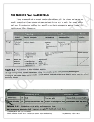 PERIODIZATION unit. all about sports for training. | PDF