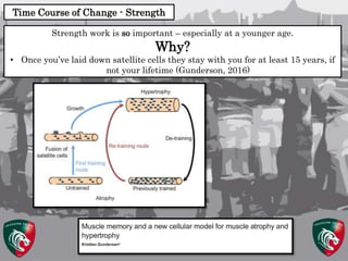 Periodization in Academy Rugby Players | PPTX