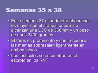 25
 En la semana 37 el perímetro abdominal
es mayor que el craneal ,a termino
alcanzan una LCC de 360mm y un peso
de unos 3400 gramos.
 El tórax es prominente y con frecuencia
las mamas sobresalen ligeramente en
ambos sexos.
 Los testículos se encuentran en el
escroto en los RNT
Semanas 35 a 38
 