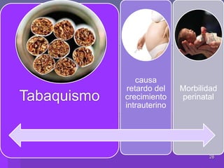 28
Tabaquismo
causa
retardo del
crecimiento
intrauterino
Morbilidad
perinatal
 