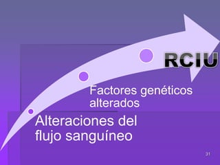 31
Alteraciones del
flujo sanguíneo
Factores genéticos
alterados
 