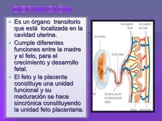  Es un órgano transitorio
que está localizada en la
cavidad uterina.
 Cumple diferentes
funciones entre la madre
y el feto, para el
crecimiento y desarrollo
fetal.
 El feto y la placenta
constituye una unidad
funcional y su
maduración se hace
sincrónica constituyendo
la unidad feto placentaria.
 