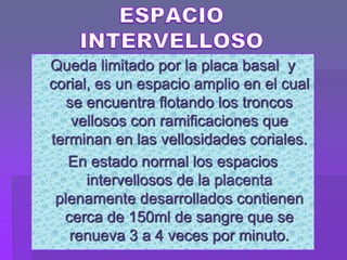 Queda limitado por la placa basal y
corial, es un espacio amplio en el cual
se encuentra flotando los troncos
vellosos con ramificaciones que
terminan en las vellosidades coriales.
En estado normal los espacios
intervellosos de la placenta
plenamente desarrollados contienen
cerca de 150ml de sangre que se
renueva 3 a 4 veces por minuto.
 