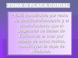  Está constituida por resto
de sincitiotrofobolasto y el
citotrofoblasto que al
degenerar se llenan de
fibrinoide; el cual por
debajo de estos restos,
constituyen la capa de
Nitabuch.
 