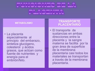 METABOLISMO
• La placenta
especialmente al
principio del embarazo,
sintetiza glucógeno,
colesterol y ácidos
grasos, que actúan como
fuente de nutrientes y
energía para el
embrión/feto.
TRANSPORTE
PLACENTARIO
• El transporte de
sustancias en ambas
direcciones entre la
placenta y la sangre
materna se facilita por la
gran área de superficie
de la membrana
placentaria casi todos los
materiales se transportan
a través de la membrana
placentaria.
 