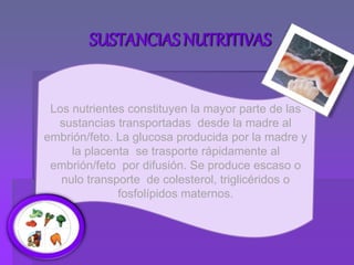 Los nutrientes constituyen la mayor parte de las
sustancias transportadas desde la madre al
embrión/feto. La glucosa producida por la madre y
la placenta se trasporte rápidamente al
embrión/feto por difusión. Se produce escaso o
nulo transporte de colesterol, triglicéridos o
fosfolípidos maternos.
SUSTANCIAS NUTRITIVAS
 
